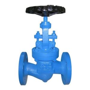 Steam Globe Valve