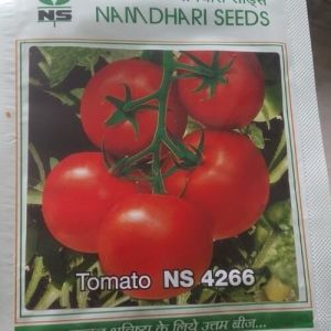 NAMDHRI4266 TOMATO