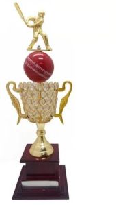 Brass Cricket Trophy