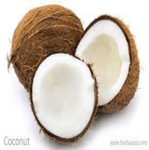 Coconut