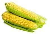 American Sweet Corn