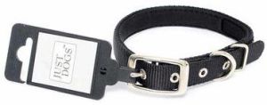 Dog Collars