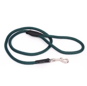 pet leash