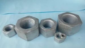 2h Hex Nuts