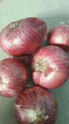 Other organic onion