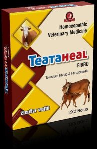 TeataHeal Fibro