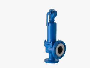 WCB Safety valve flanged end