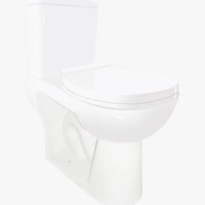 Floor Mounted Toilet