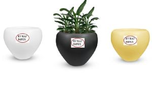 plant pots