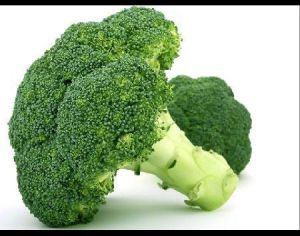 Fresh Broccoli