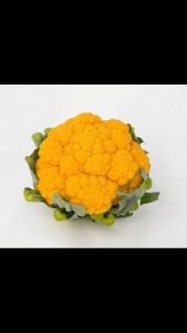 Coloured cauliflower