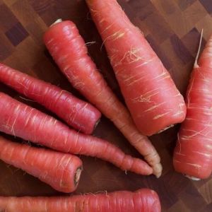 Red Carrot