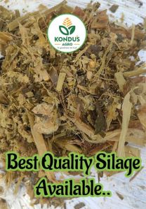 Corn Silage