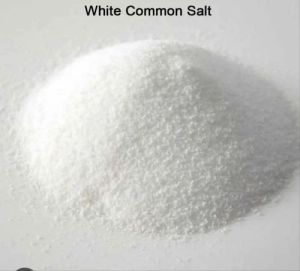 White Common Salt Powder
