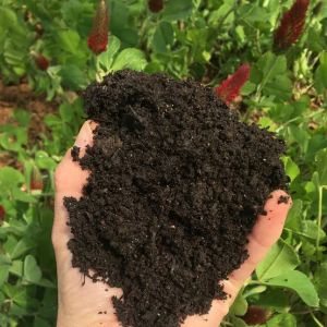 Compost Fertilizer