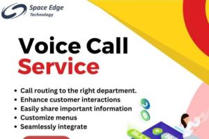 Bulk Voice Call Service