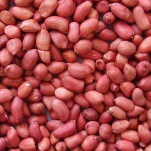 Groundnut Seeds