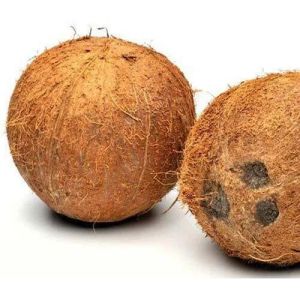 A Grade Semi Husked Coconut