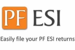 PF & ESI Return Filing Service