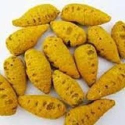 Dry Turmeric Bulb