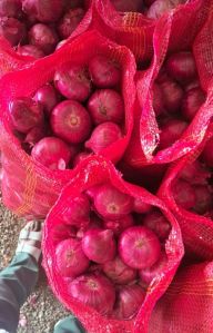 Nasik Red Onion