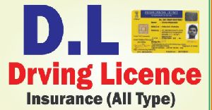 driving license service
