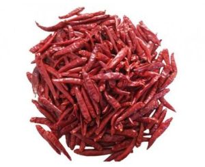 Raw Dry Red Chilli