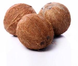 Brown Coconut