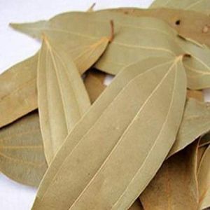 Cinnamon Leaf