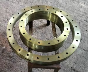 Industrial Flanges