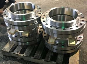 Stainless Steel Flanges