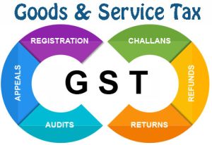 Gst Consultant Service