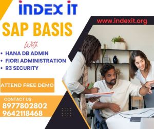 SAP Basis Training