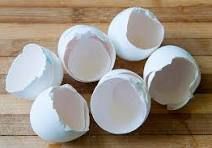 Egg Shells