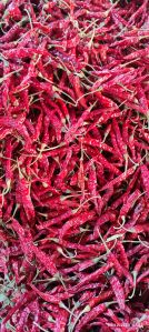 Dried Red Chilli