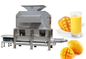 mango pulp processing machine
