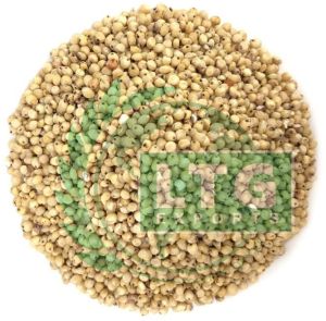 Premium quality sorghum feed