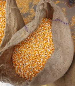 Yellow Maize Animal Feed