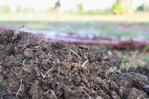 Ghan Jivamrut Vermicompost Fertilizer