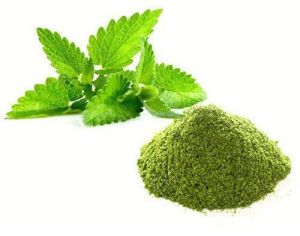 DRIED MINT LEAVES POWDER