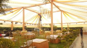 Party Function Decoration Services