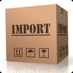 import consultant services