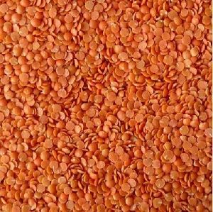 Red Gram Dal