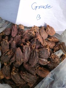 Black Cardamom Elaichi Grade B medium size