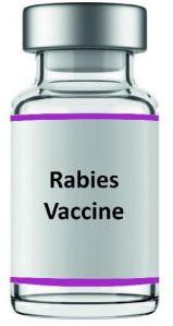 rabies vaccine