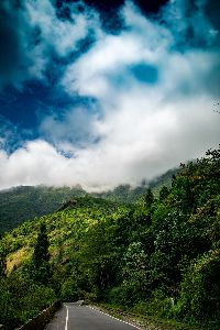 Darjeeling Tour