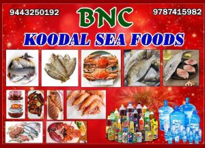 BNC koodal sea foods