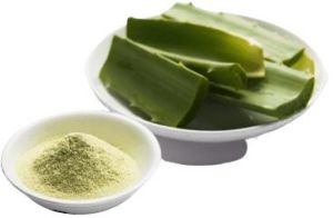 Natural Aloe Vera Powder