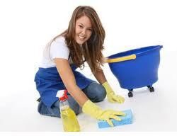 Tile Cleaner