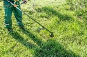 Natural Gardening Services